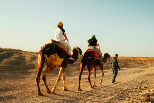 Agafay Desert Dinner With Show& Sunset Camel